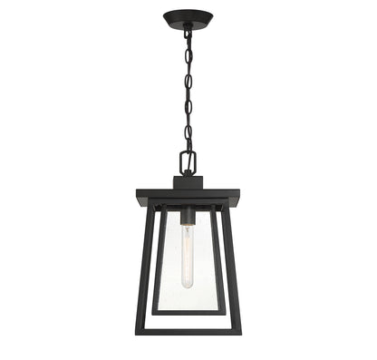 Denver 1-Light Outdoor Hanging Lantern in Matte Black