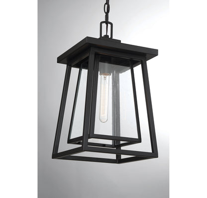 Denver 1-Light Outdoor Hanging Lantern in Matte Black