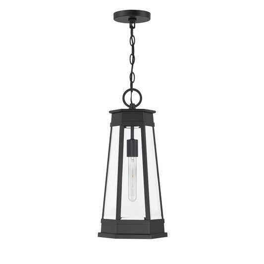 Payne 1-Light Outdoor Hanging Lantern - Matte Black