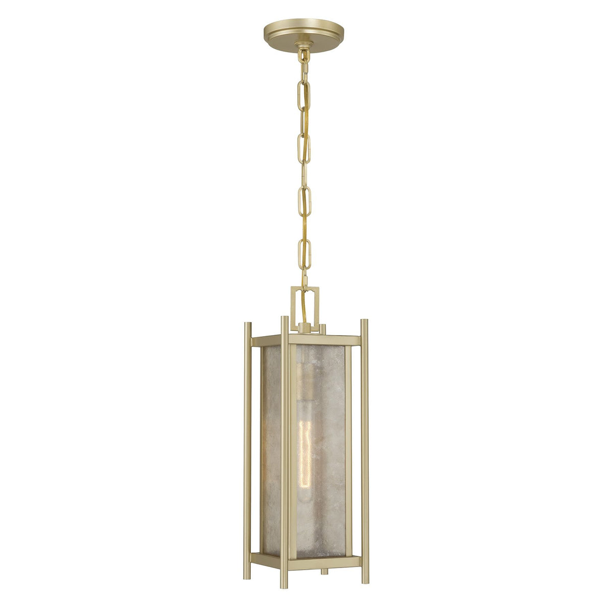 Jacobs 1-Light Outdoor Hanging Lantern