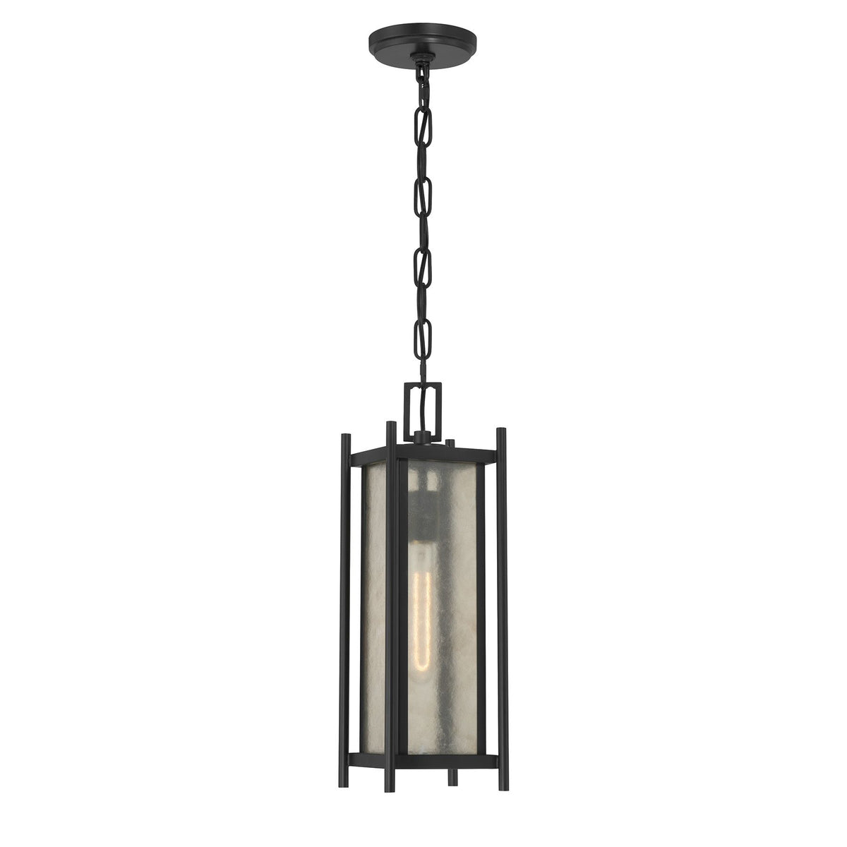 Jacobs 1-Light Outdoor Hanging Lantern