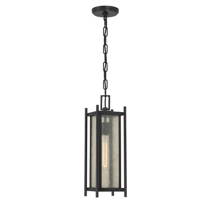 Jacobs 1-Light Outdoor Hanging Lantern