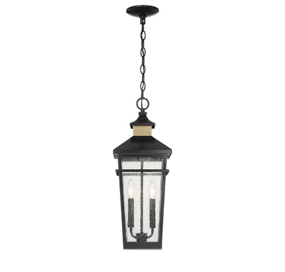 Kingsley 2-Light Outdoor Hanging Lantern in Matte Black with Warm Brass Accents