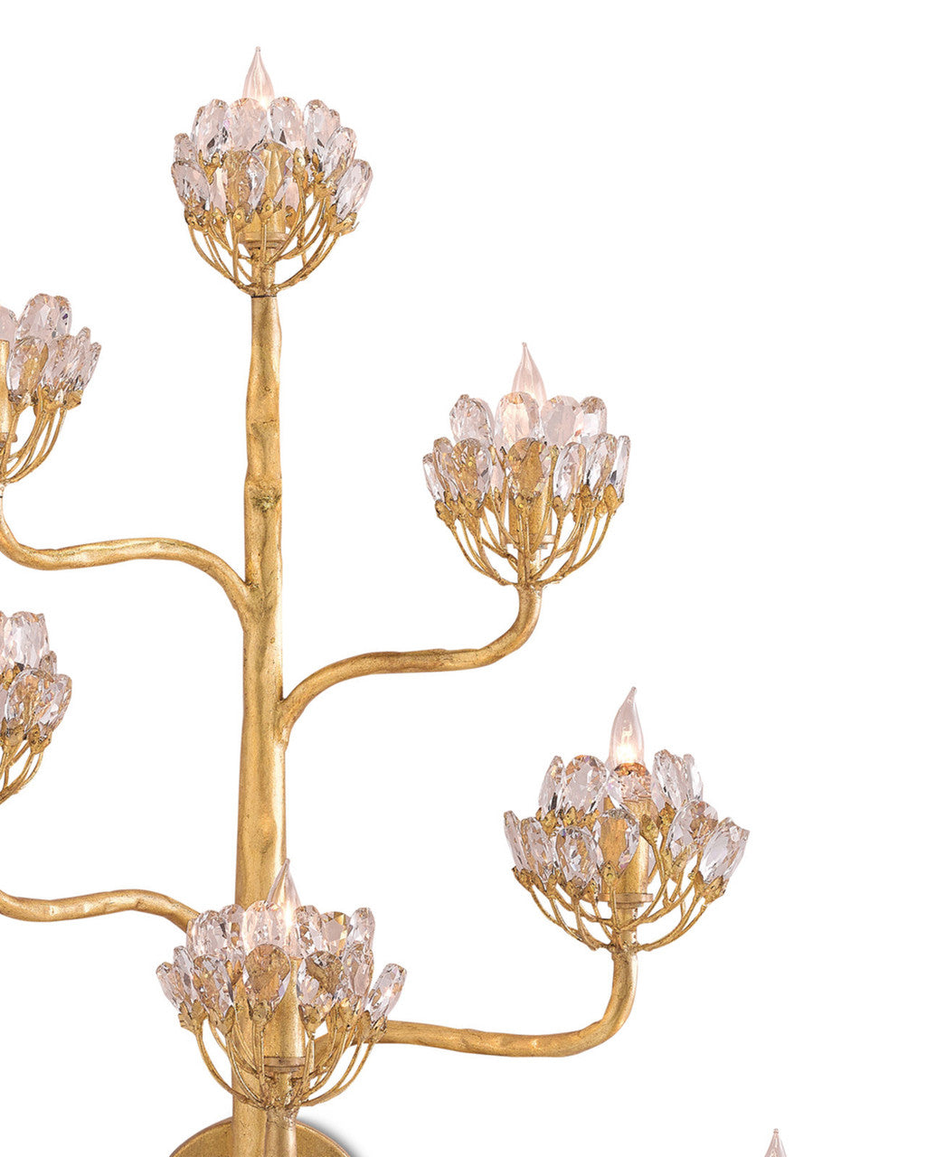 Agave Americana Gold Wall Sconce Currey and Company 5000-0058