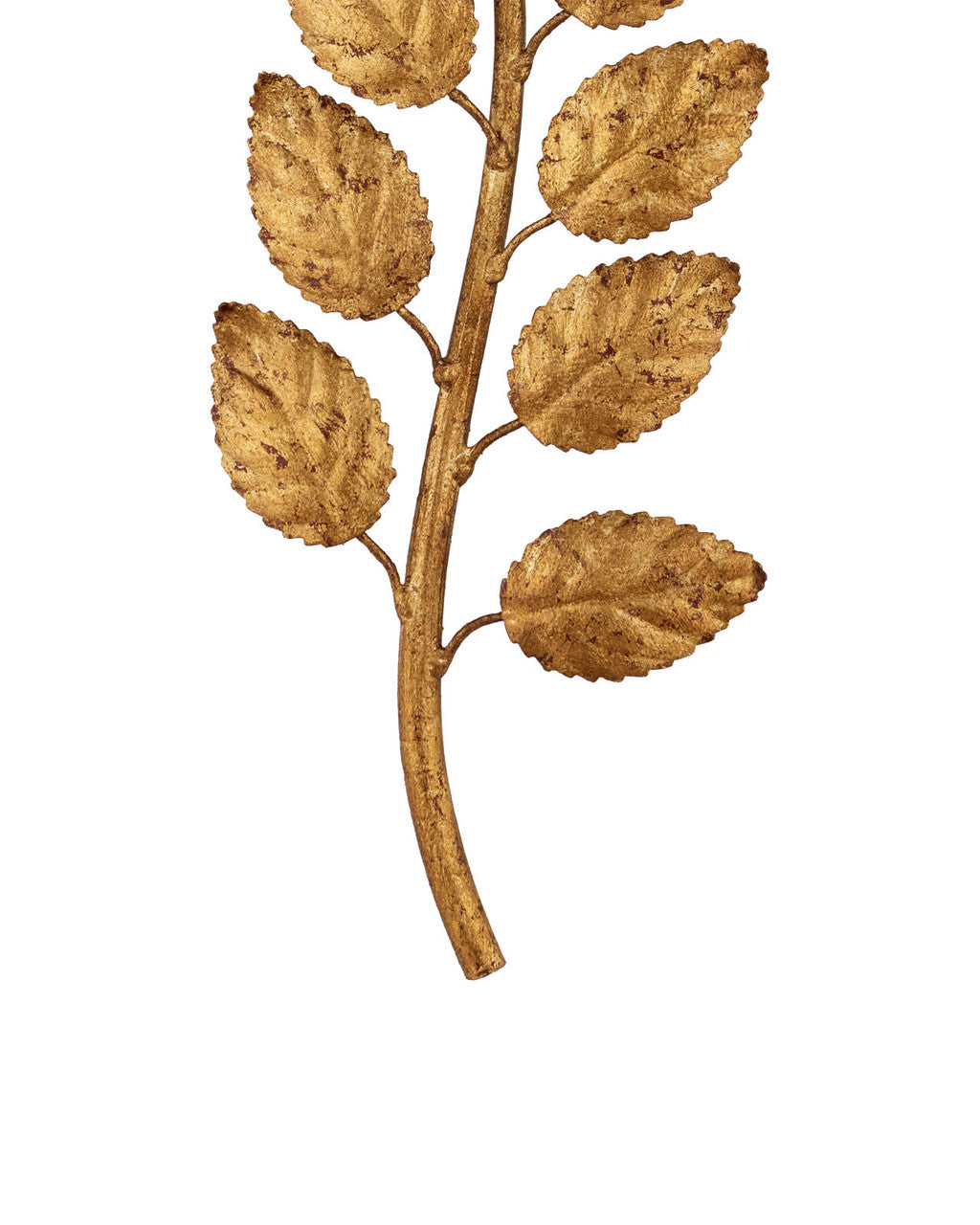 Birdwood Wall Sconce Currey and Company 5221