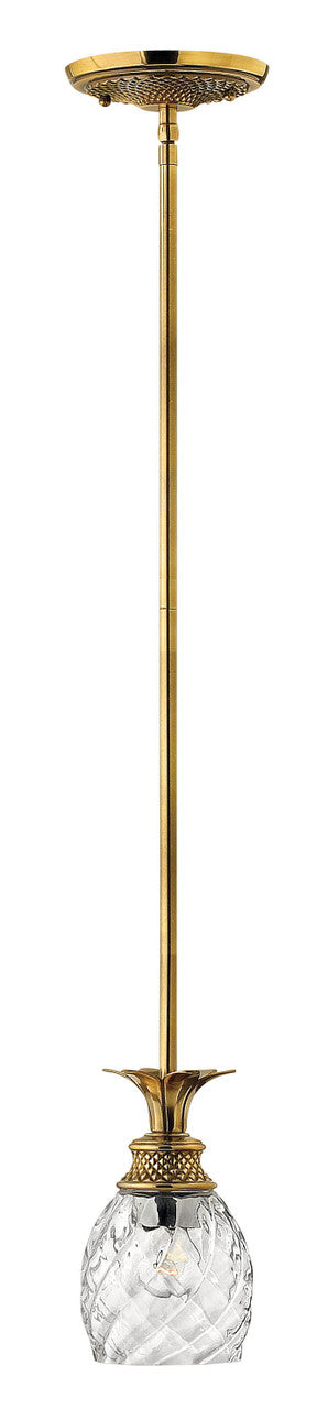 Hinkley Plantation Mini-Pendant Burnished Brass