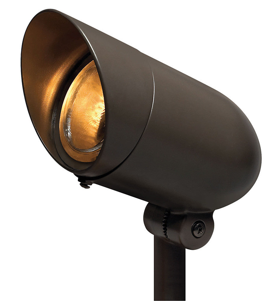 Hinkley Line Voltage Spot Outdoor Landscape Spot Light Bronze