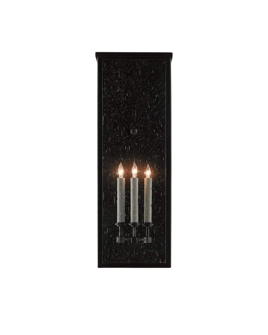 Tanzy Large Outdoor Wall Sconce Currey and Company 5500-0039