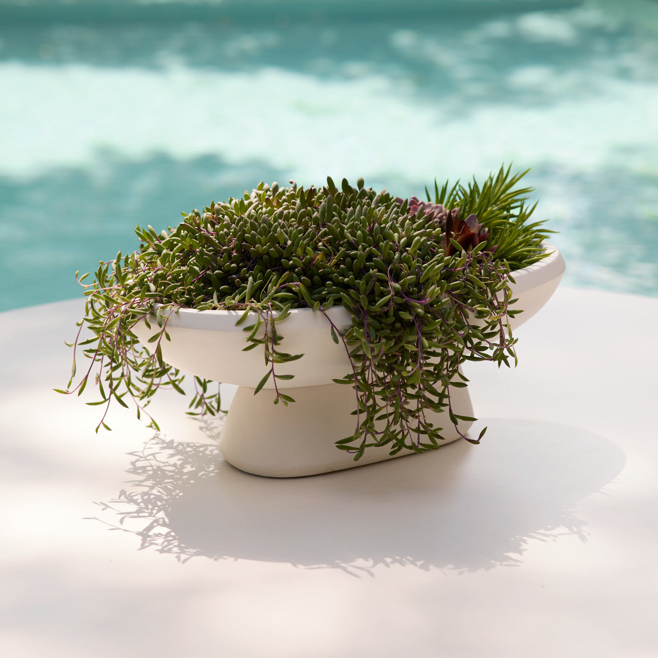 Chelsea Centerpiece