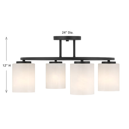 Herron 4-Light Ceiling Light in Chrome