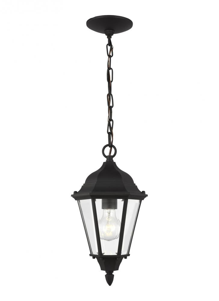 Bakersville 1-Light Outdoor Pendant