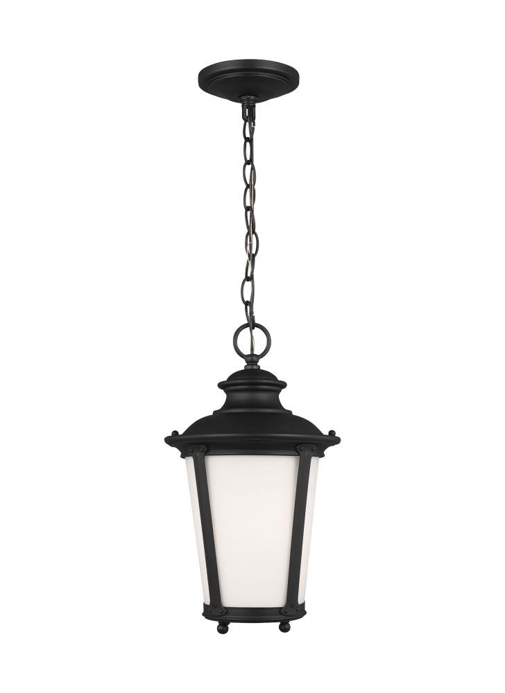 Pendants-Generation Lighting-62240