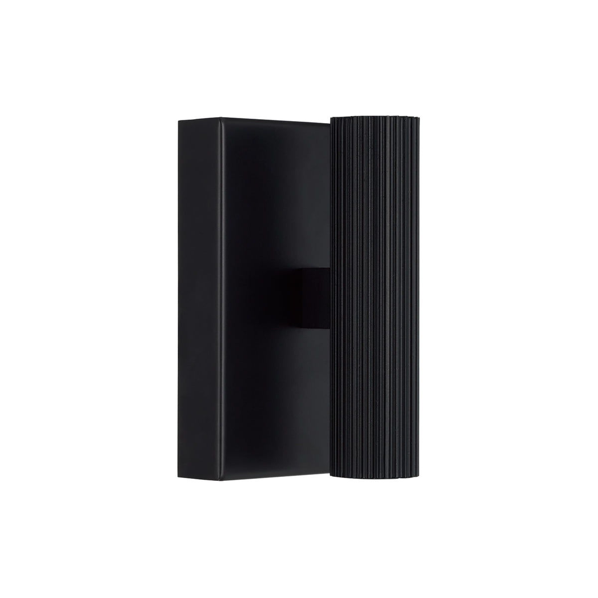 Capital Ian Mini Dual Sconce