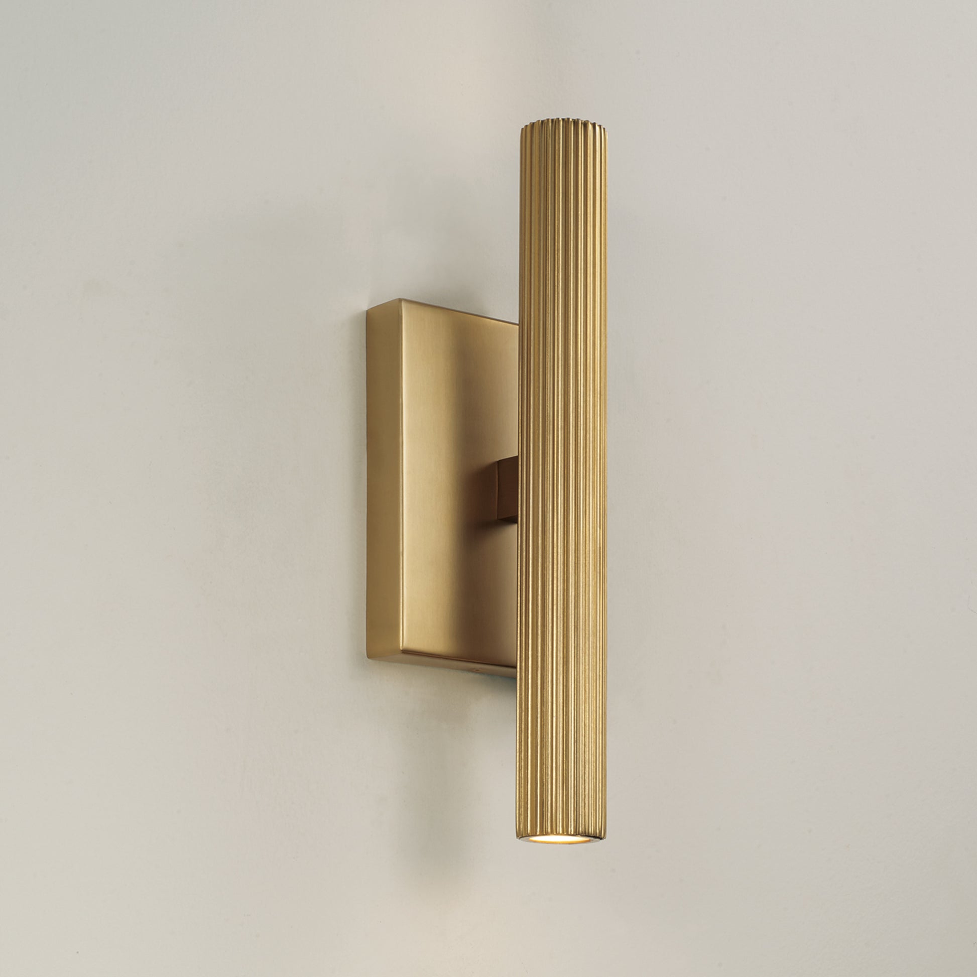 Capital Ian Dual Sconce