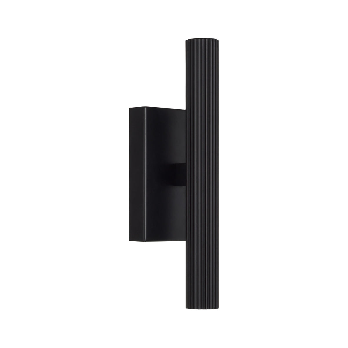 Capital Ian Dual Sconce