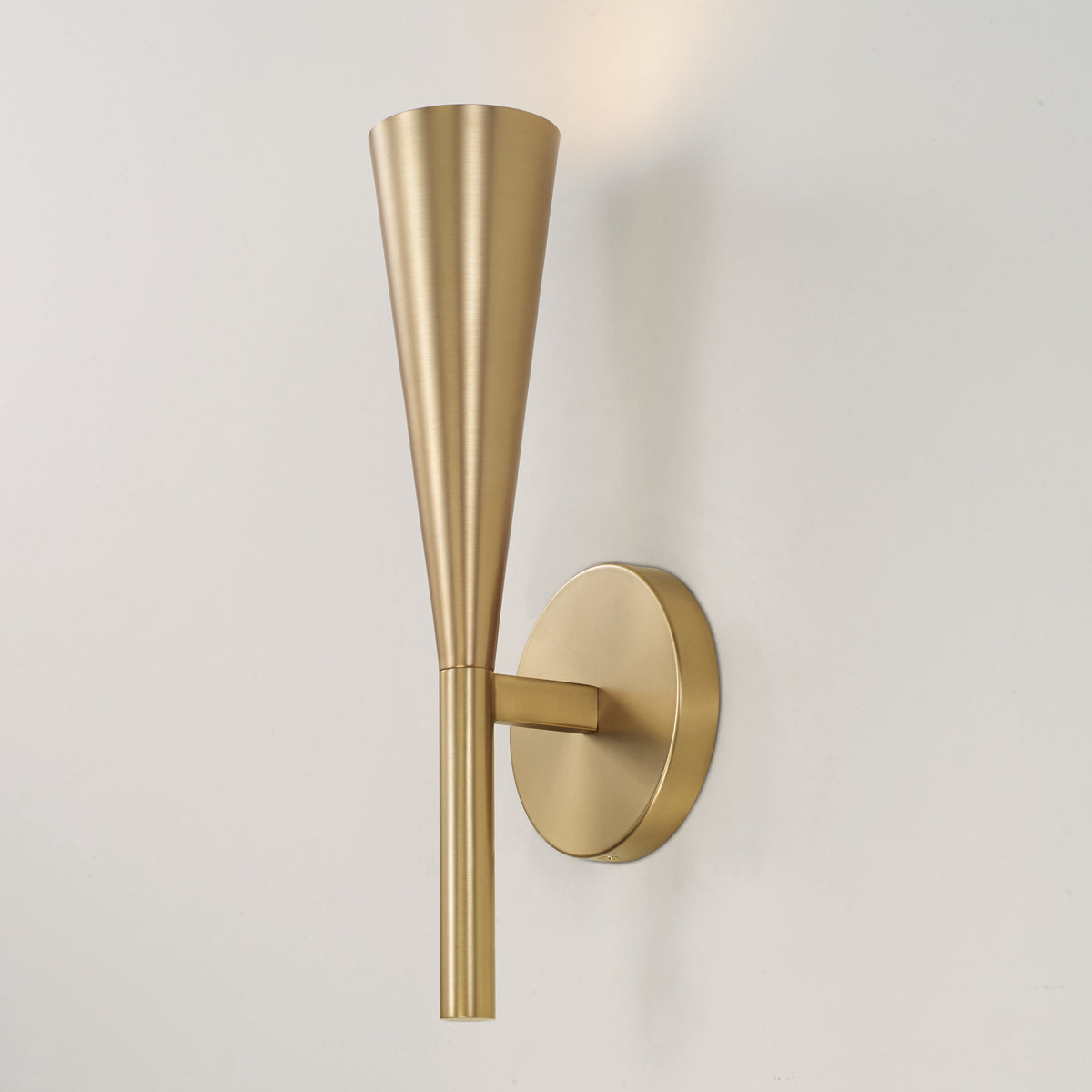 Capital Levi Sconce
