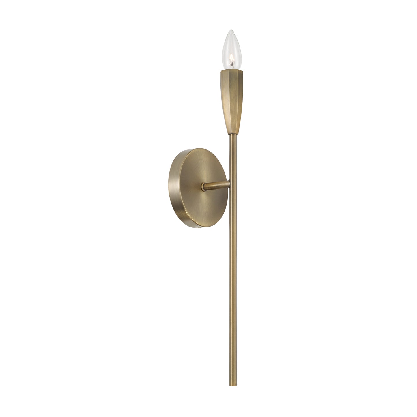 Capital Palmer Sconce