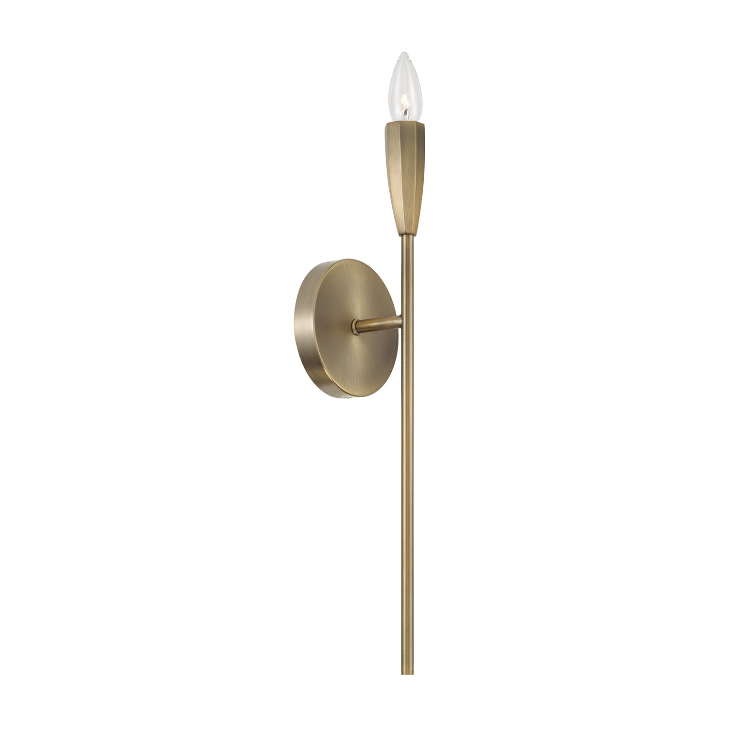 Capital Palmer Sconce