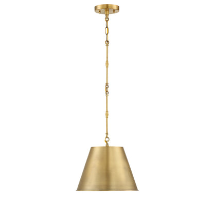 Alden 1-Light 12-in Pendant in Polished Nickel
