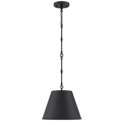 Alden 1-Light 12-in Pendant in Polished Nickel