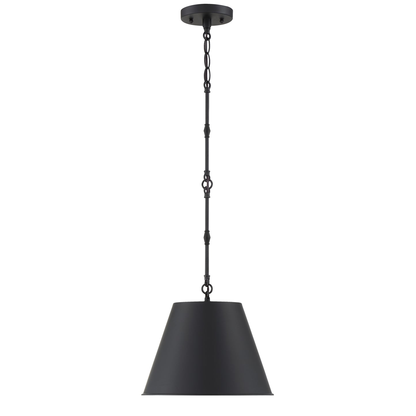 Alden 1-Light 12-in Pendant in Polished Nickel