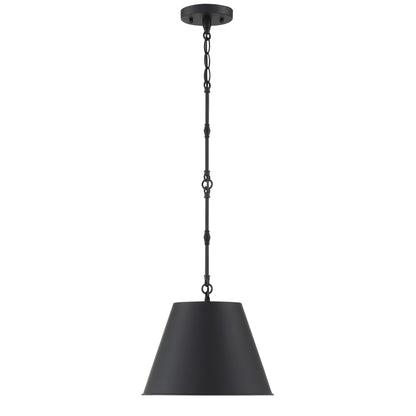 Alden 1-Light 12-in Pendant in Polished Nickel