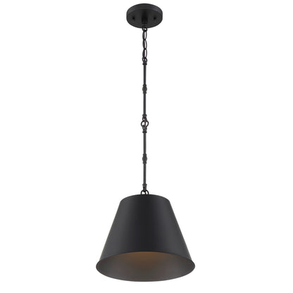 Alden 1-Light 12-in Pendant in Polished Nickel