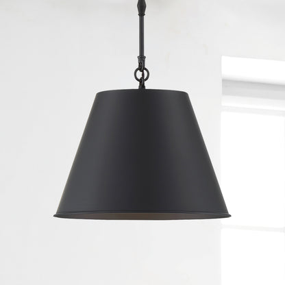 Alden 1-Light 12-in Pendant in Polished Nickel