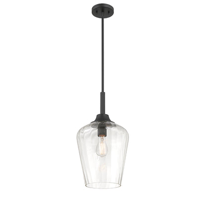Carlton 1-Light Pendant