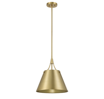 Willis 1-Light Pendant in Polished Nickel