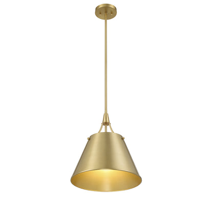Willis 1-Light Pendant in Polished Nickel