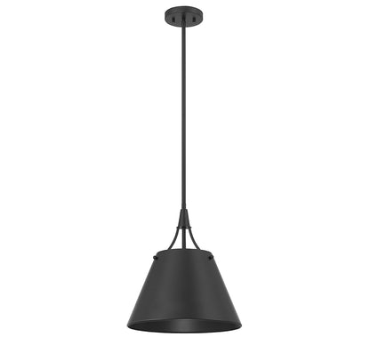 Willis 1-Light Pendant in Polished Nickel