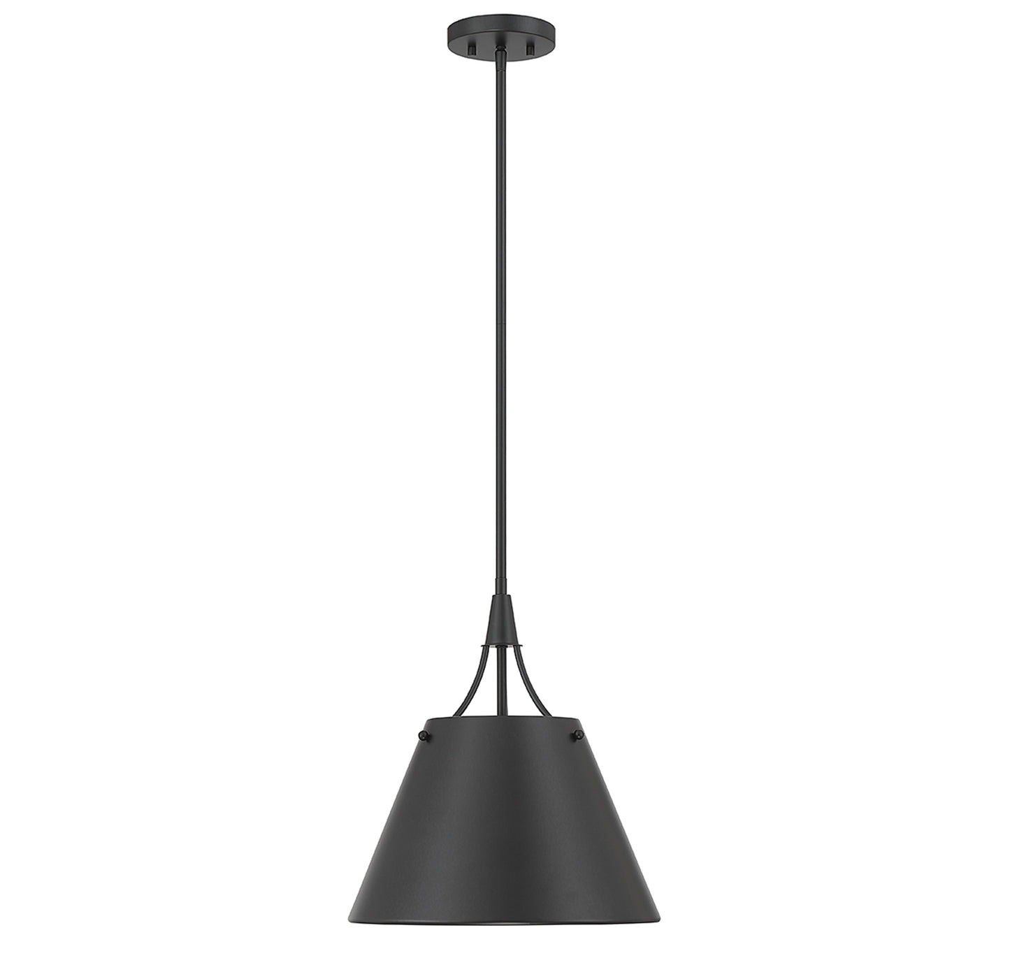 Willis 1-Light Pendant in Polished Nickel