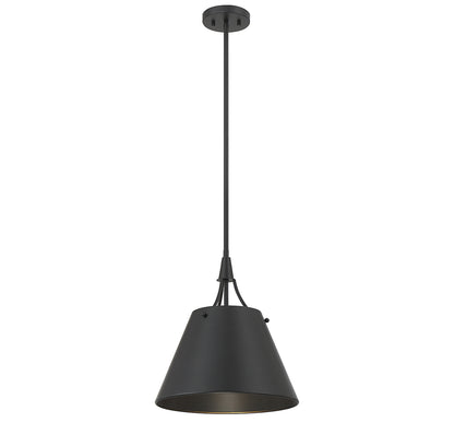 Willis 1-Light Pendant in Polished Nickel