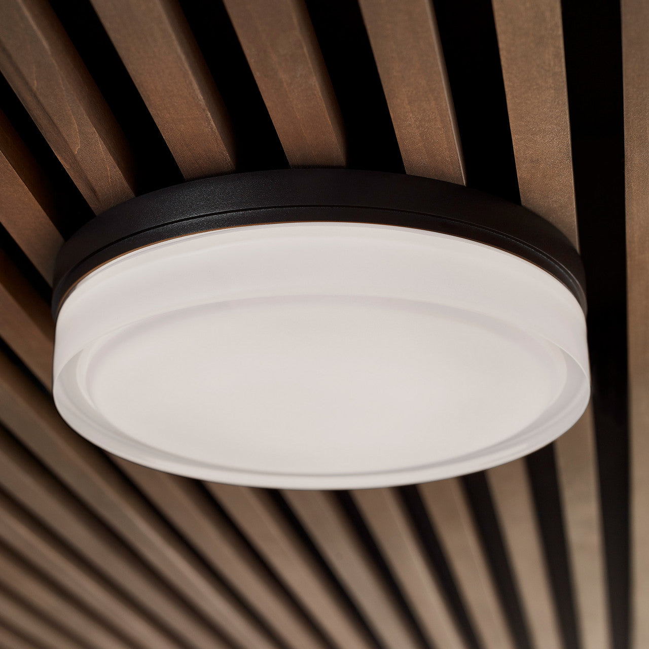 Cirque Outdoor Wall/Flush Mount