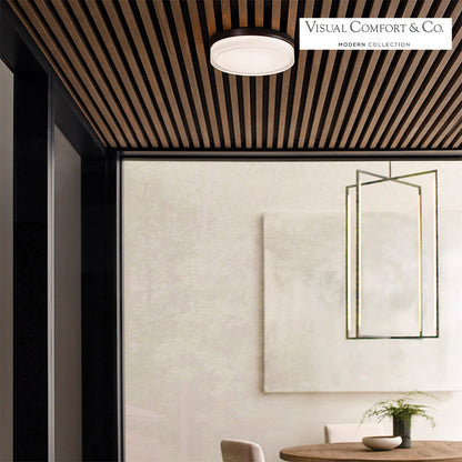 Cirque Outdoor Wall/Flush Mount