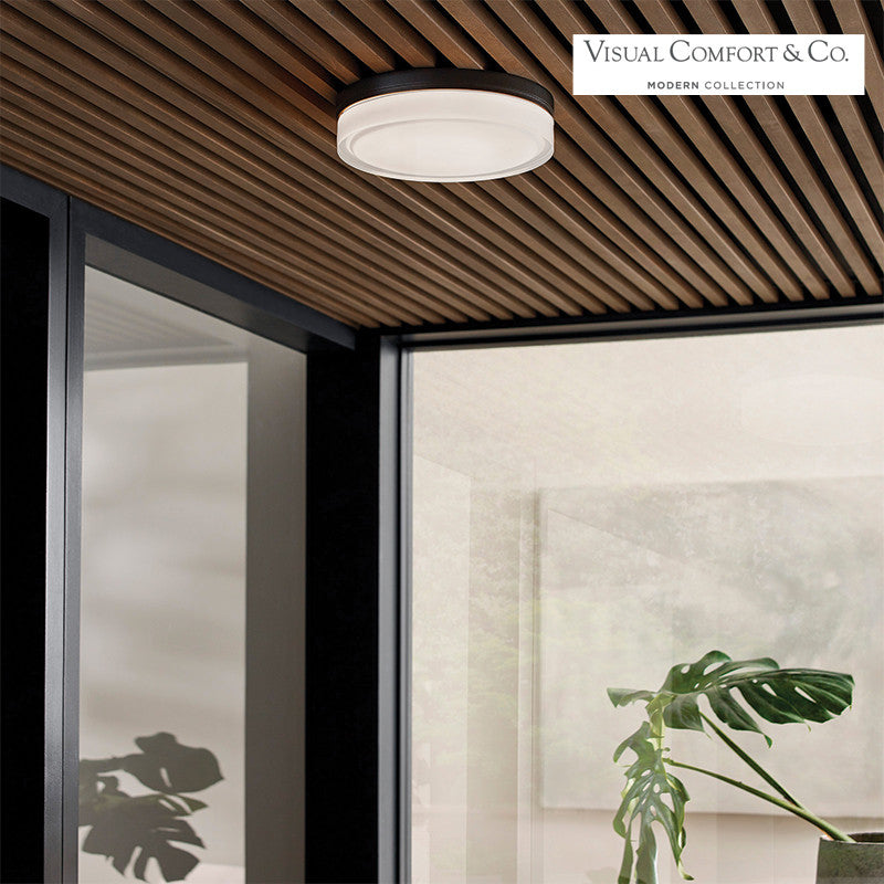 Cirque Outdoor Wall/Flush Mount
