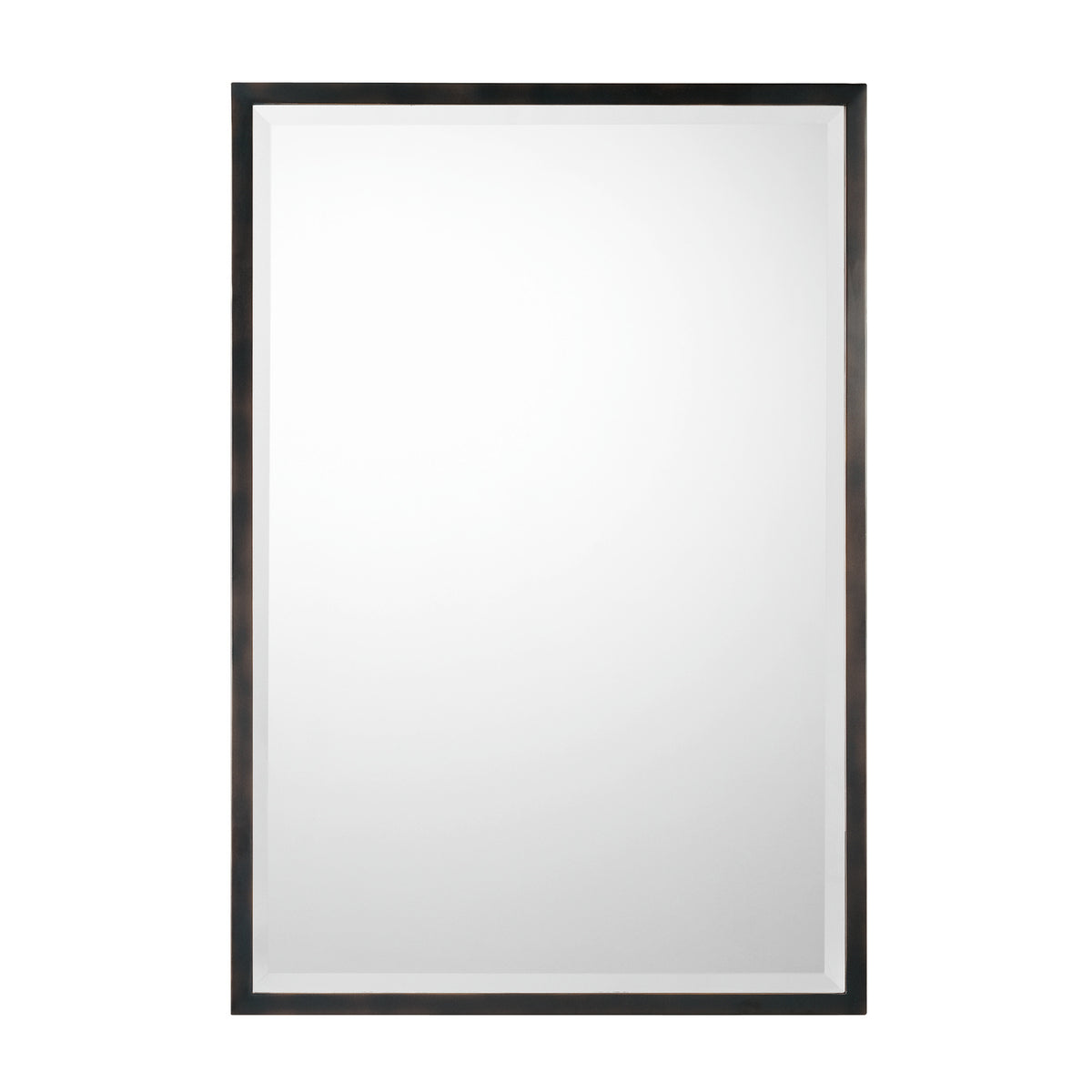 Capital 26"W x 38"H Mirror