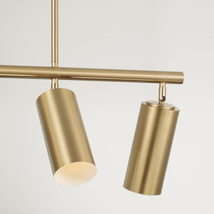 Capital Robbie Linear Chandelier