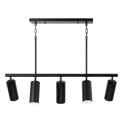 Capital Robbie Linear Chandelier