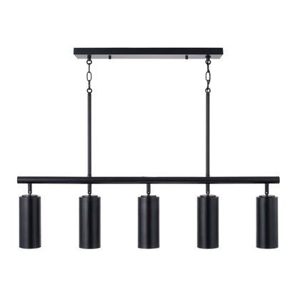 Capital Robbie Linear Chandelier