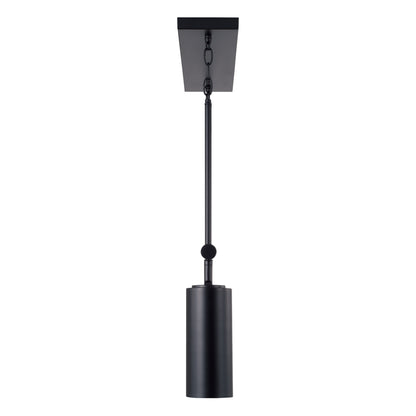 Capital Robbie Linear Chandelier