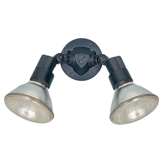 Generation Lighting Two Light Adjustable Swivel Flood Light Black