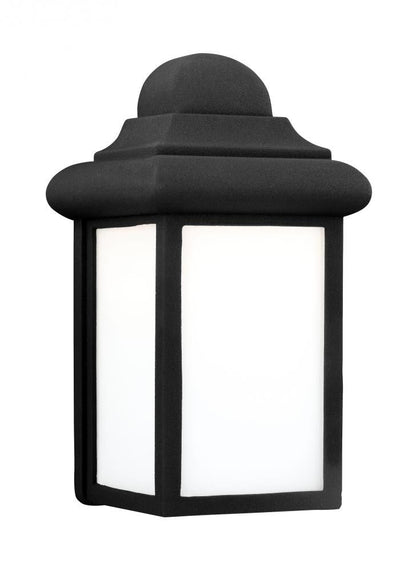 Mullberry Hill 1-Light Outdoor Wall Lantern
