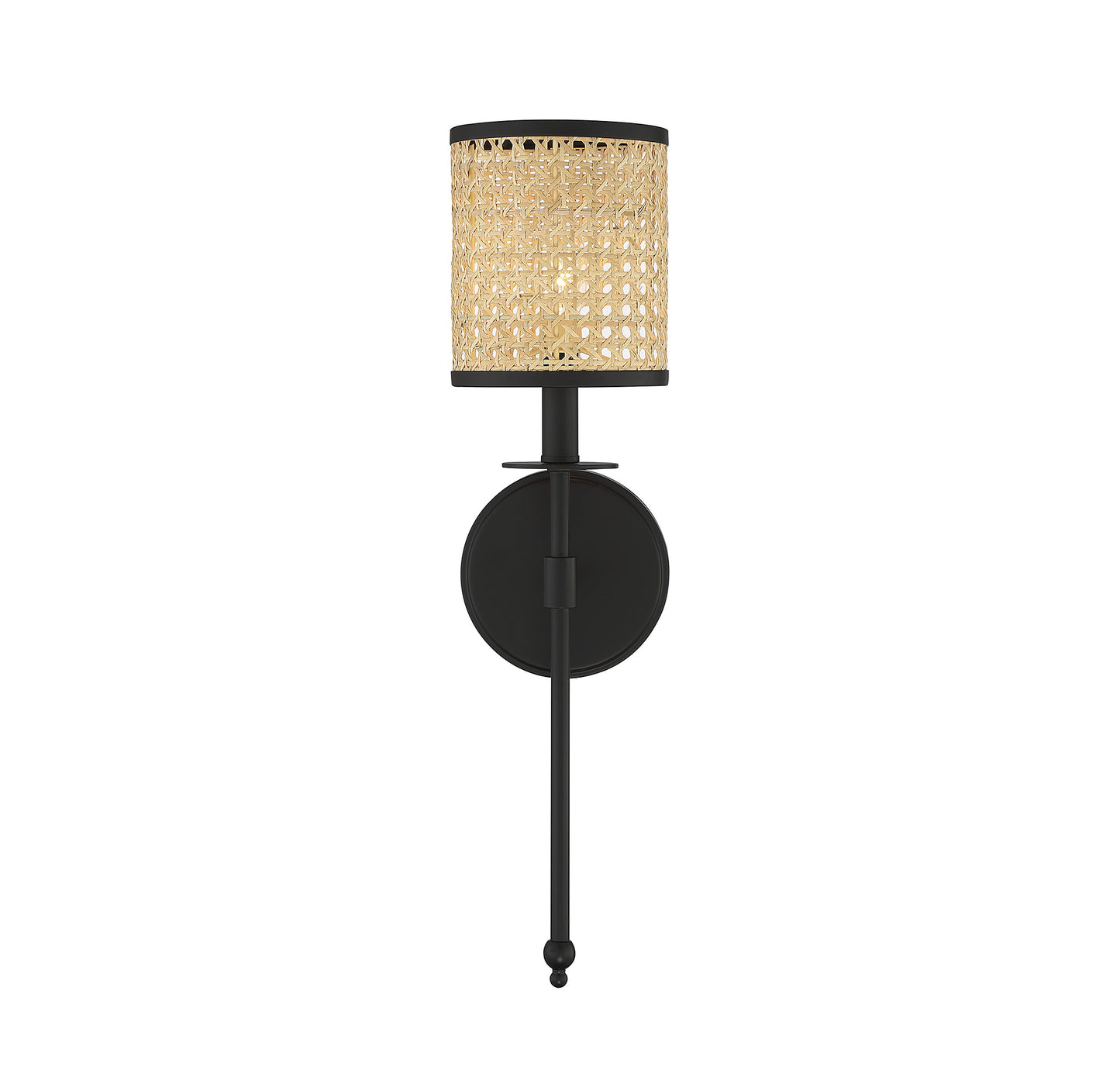 Jaylar 1-Light Wall Sconce in Matte Black (20 in)
