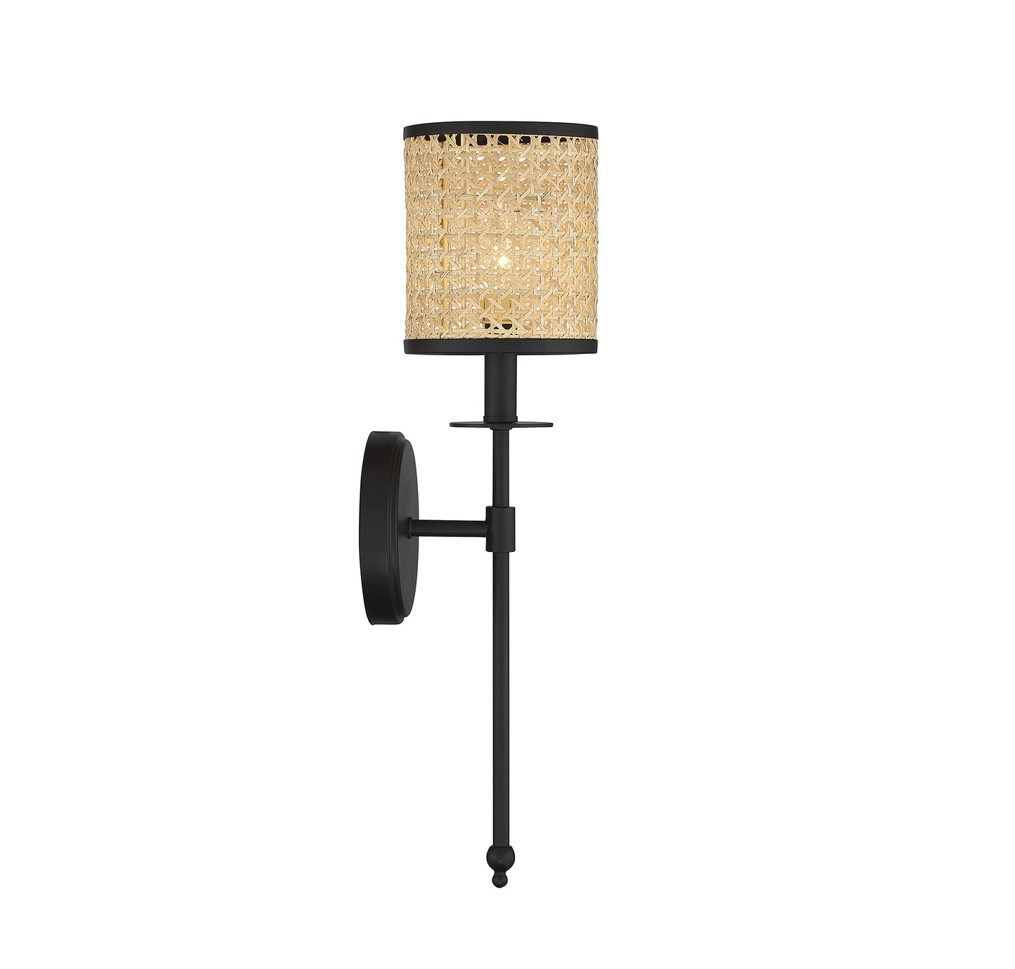 Jaylar 1-Light Wall Sconce in Matte Black (20 in)