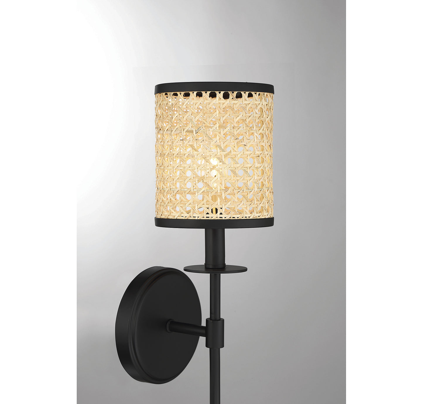 Jaylar 1-Light Wall Sconce in Matte Black (20 in)