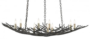 Currey and Company Rainforest Small Bronze Chandelier Rustic Bronze