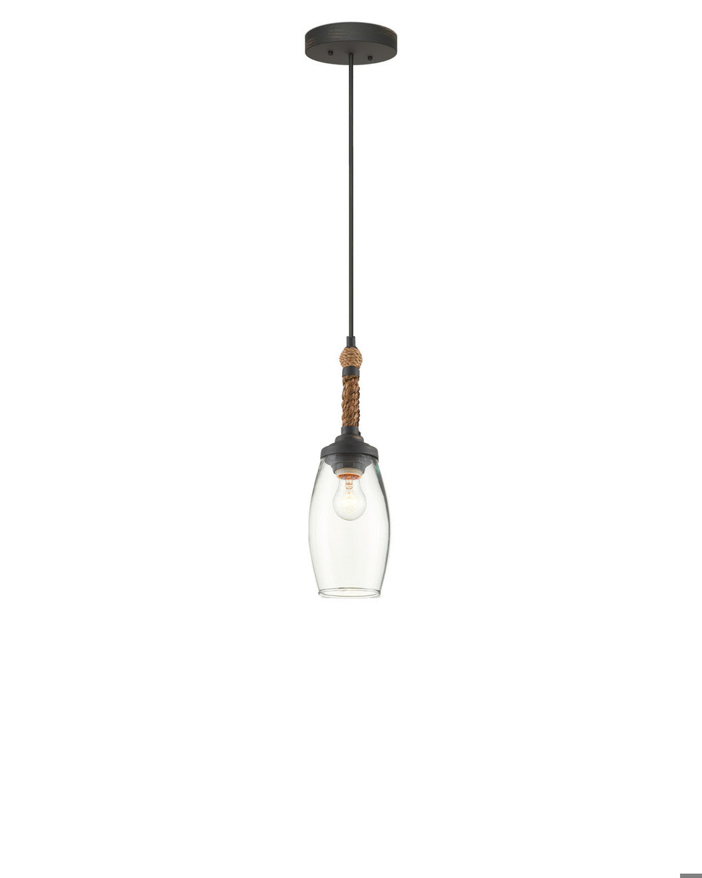 Currey and Company Hightider Pendant Clear, Natural, French Black