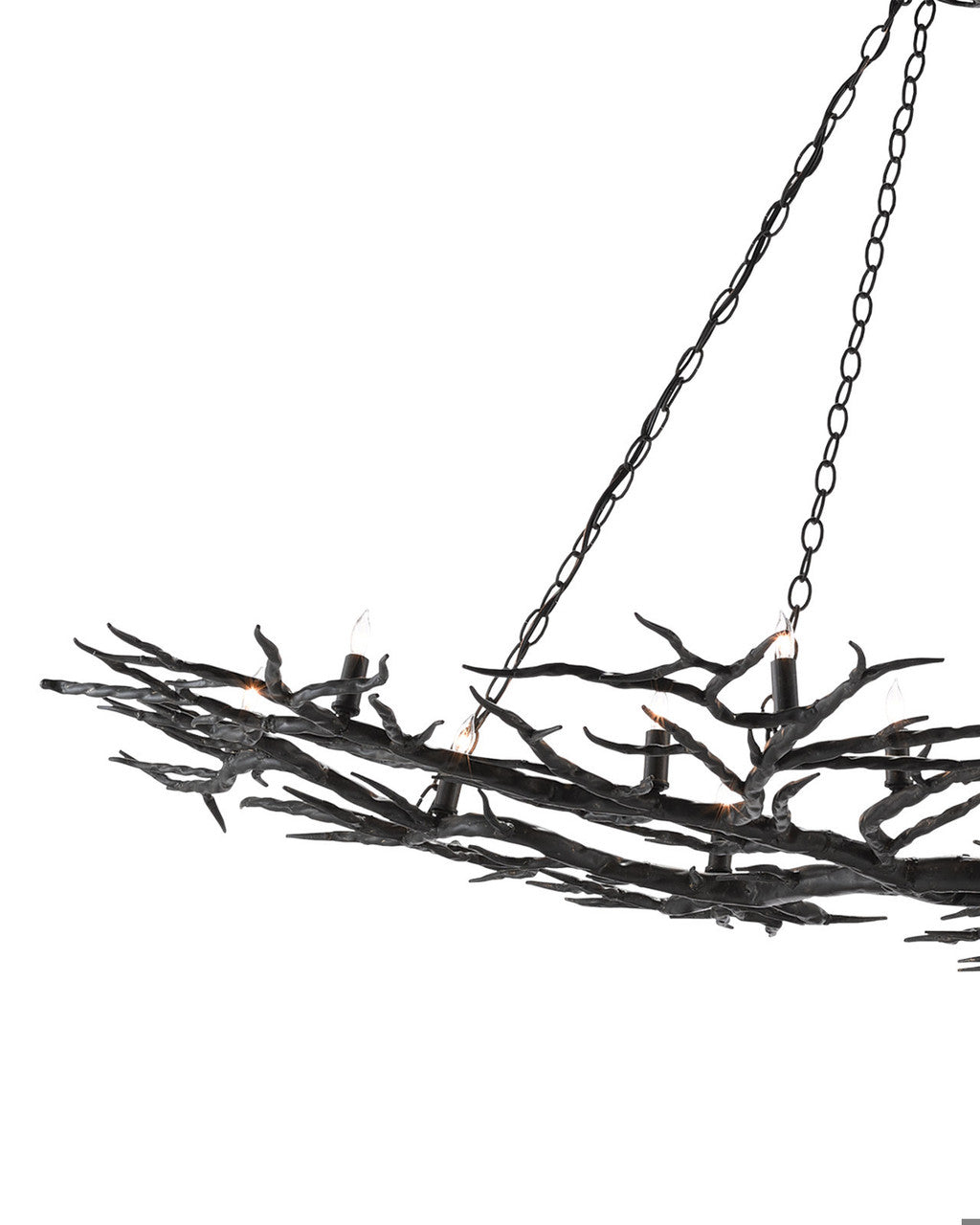Rainforest Bronze Chandelier, Currey and Company 9007